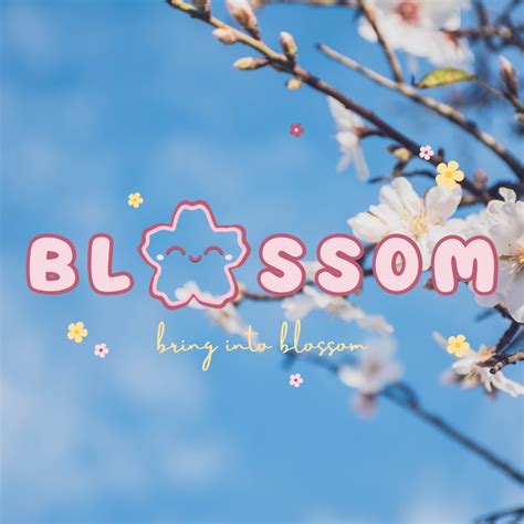 Blossom Facebook.